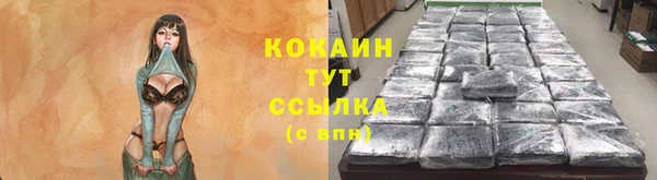 индика Аркадак