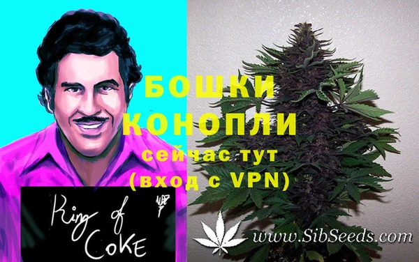 индика Аркадак